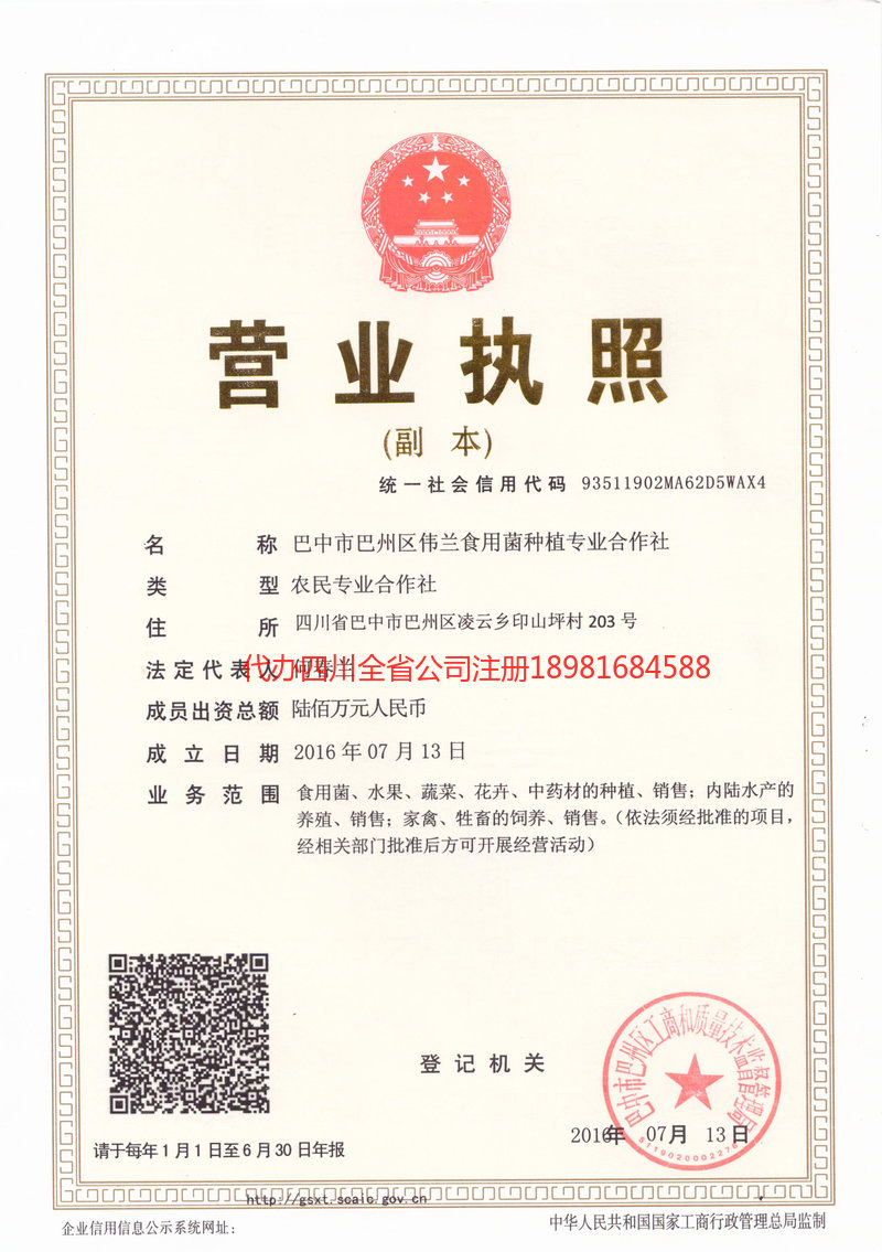 绵阳绵阳伟兰食用菌种植专业合作社